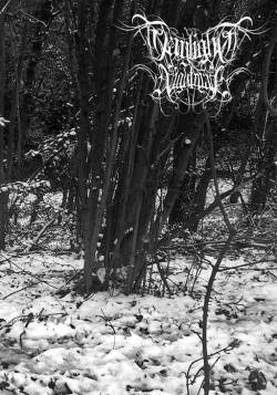 Daylight Nightmare : Autumn Sorrow